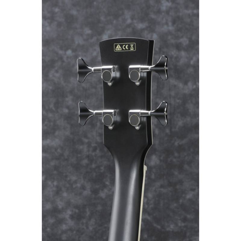 Акустическая бас-гитара IBANEZ PCBE14MH WK