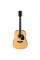 Акустична гітара Ibanez PF15-NT