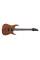 Електрогітара Ibanez RG421 MOL
