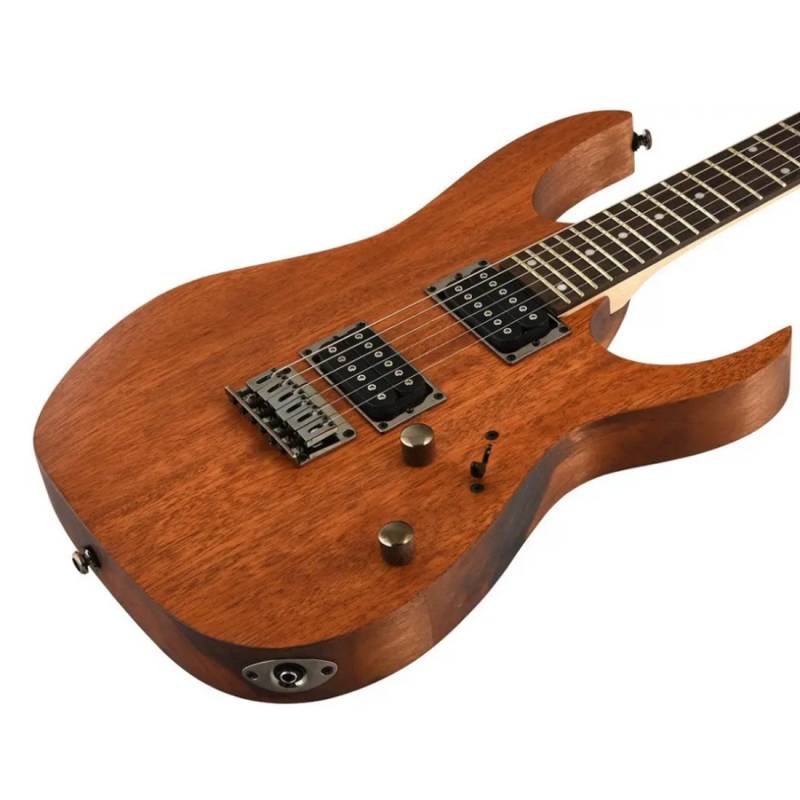 Електрогітара Ibanez RG421 MOL