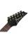 Електрогітара Ibanez RG421 MOL