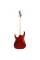 Електрогітара Ibanez RG421PB CHF