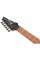 Електрогітара Ibanez RG421PB CHF