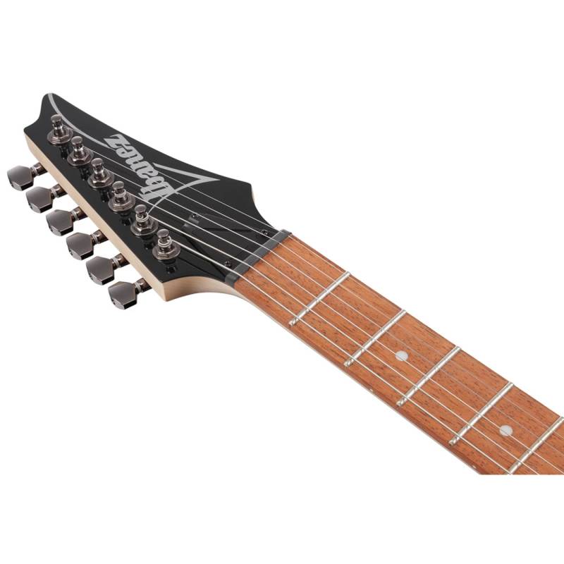 Электрогитара Ibanez RG421PB CHF