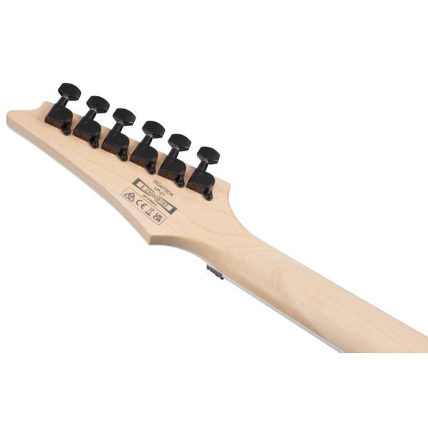 Електрогітара Ibanez RG470DX SFM
