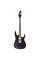 Електрогітара Ibanez RG470DX TMN