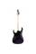 Електрогітара Ibanez RG470DX TMN