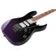 Електрогітара Ibanez RG470DX TMN