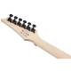 Електрогітара Ibanez RG470DX TMN