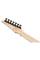 Електрогітара Ibanez RG7420EX BKF