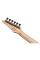 Електрогітара IBANEZ RGA21P1PB-DRL