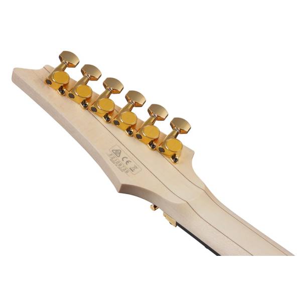Електрогітара Ibanez RGA622XH BK
