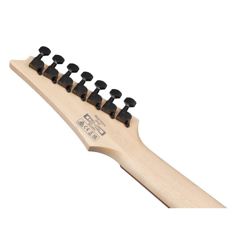 Електрогітара IBANEZ RGA742EX-BAM