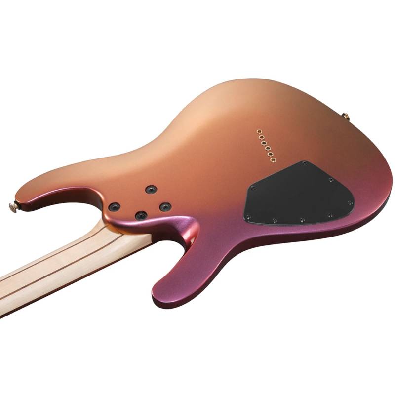 Електрогітара Ibanez SML721-RGC