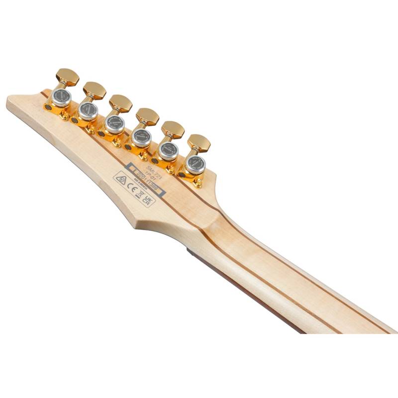 Електрогітара Ibanez SML721-RGC