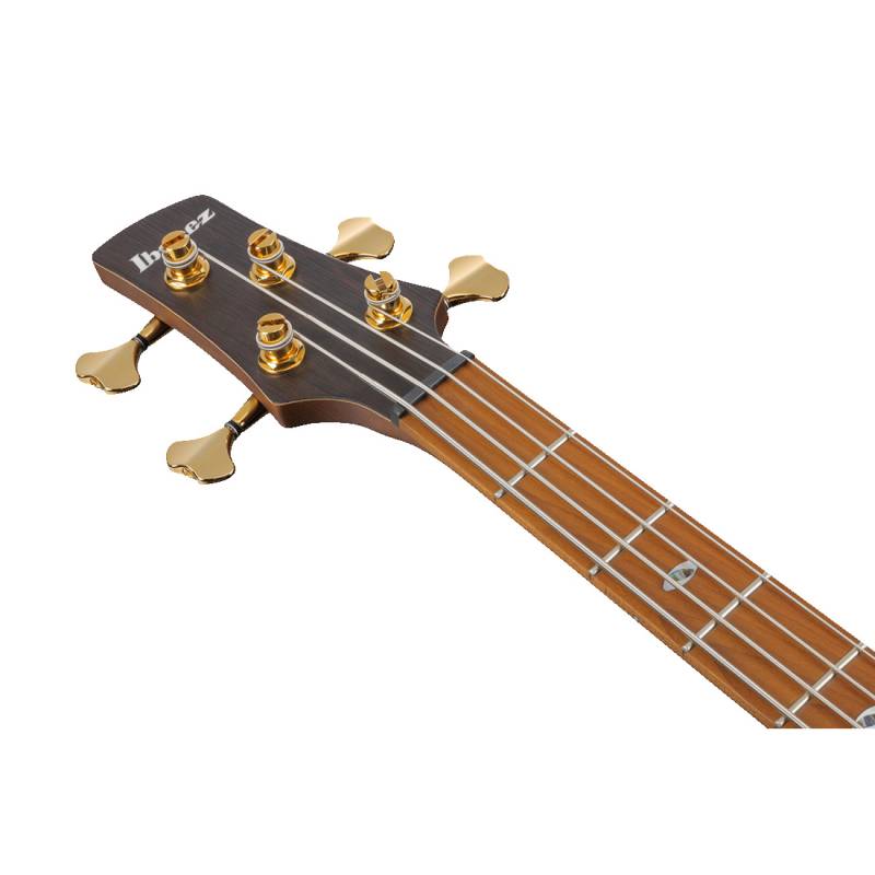 Бас-гітара  IBANEZ SR4500-DST