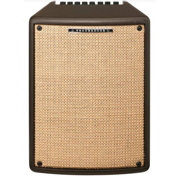 Гитарный комбоусилитель Ibanez T80II