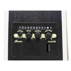 Електроакустична гітара IBANEZ TCM50FM ODB