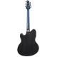 Електроакустична гітара IBANEZ TCM50FM ODB