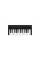 MIDI-клавіатура IK MULTIMEDIA iRIG KEYS 2 Mini