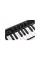 MIDI-клавіатура IK MULTIMEDIA iRIG KEYS 2