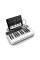 MIDI-клавіатура IK MULTIMEDIA iRIG KEYS I/O 25