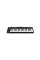 MIDI-клавіатура IK MULTIMEDIA iRIG KEYS2 PRO