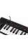 MIDI-клавіатура IK MULTIMEDIA iRIG KEYS2 PRO