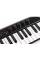 MIDI-клавіатура IK MULTIMEDIA iRIG KEYS2 PRO