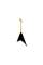 Электрогитара JACKSON PRO SERIES RHOADS RRT-5 GLOSS BLACK