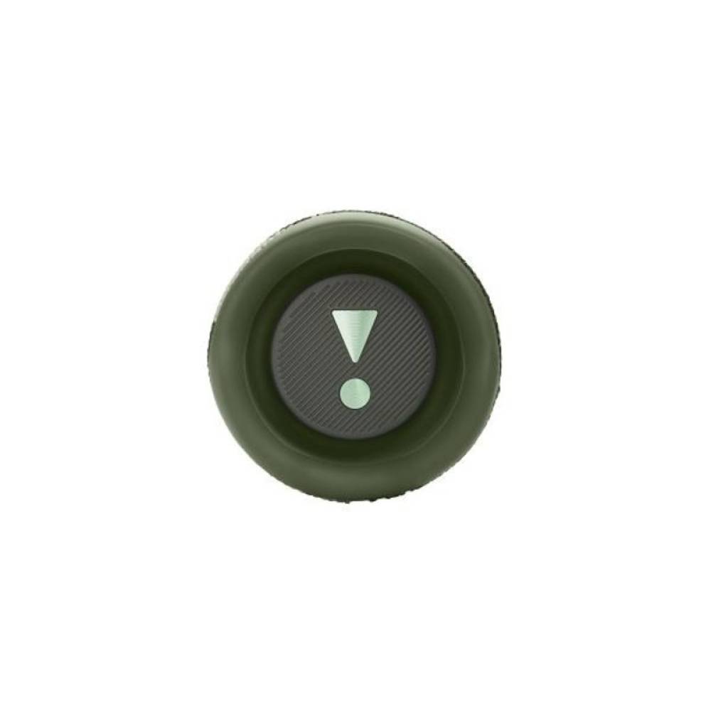 Портативная колонка JBL FLIP 6 SQUAD