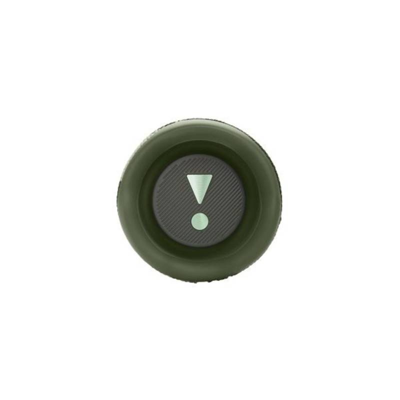 Портативная колонка JBL FLIP 6 SQUAD