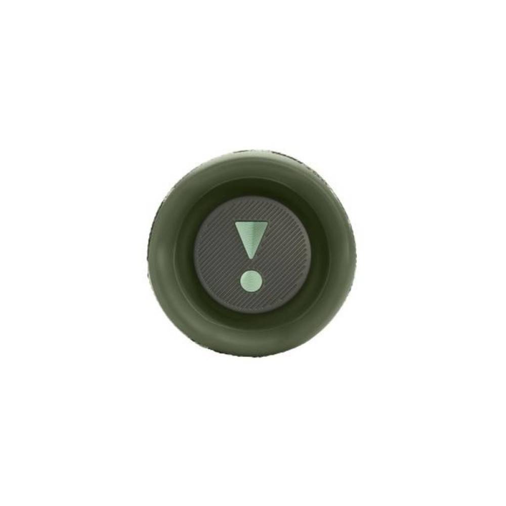 Портативная колонка JBL FLIP 6 SQUAD