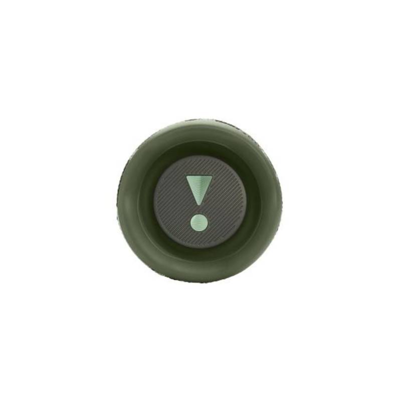 Портативная колонка JBL FLIP 6 SQUAD