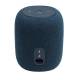 Портативна колонка JBL LINK MUSIC BLUE