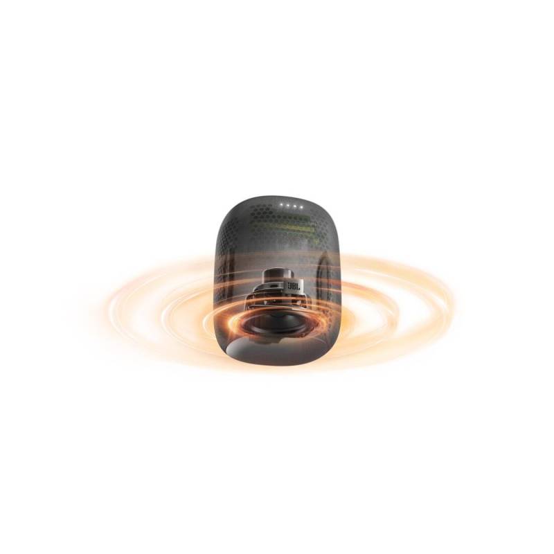 Портативная колонка JBL LINK MUSIC GREY