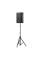 Акустична система JBL PRX915 EKD