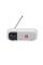 Портативная колонка JBL TUNER 2 WHITE