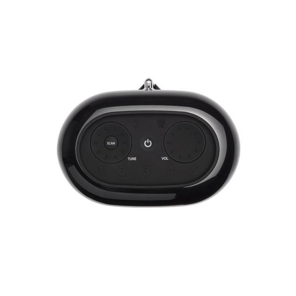 Портативна колонка JBL TUNER XL FM