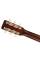 Акустическая гитара Gretsch Jim Dandy Concert Frontier Stain