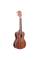 Укулеле Kala Mahogany Concert Gloss Ukulele