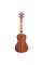 Укулеле Kala Mahogany Concert Gloss Ukulele