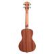 Укулеле Kala Mahogany Concert Gloss Ukulele