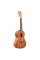 Укулеле Kala Mahogany Concert Ukulele No Binding