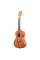 Укулеле Kala Mahogany Concert Ukulele No Binding