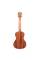 Укулеле Kala Mahogany Concert Ukulele No Binding
