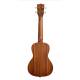 Укулеле Kala Makala Concert Ukulele Укулеле Kala Makala Concert Ukulele
