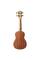 Укулеле Укулеле KALA Learn To Play Soprano Ukulele STARTER KIT