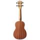 Укулеле Укулеле KALA Learn To Play Soprano Ukulele STARTER KIT