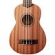 Укулеле Укулеле KALA Learn To Play Soprano Ukulele STARTER KIT